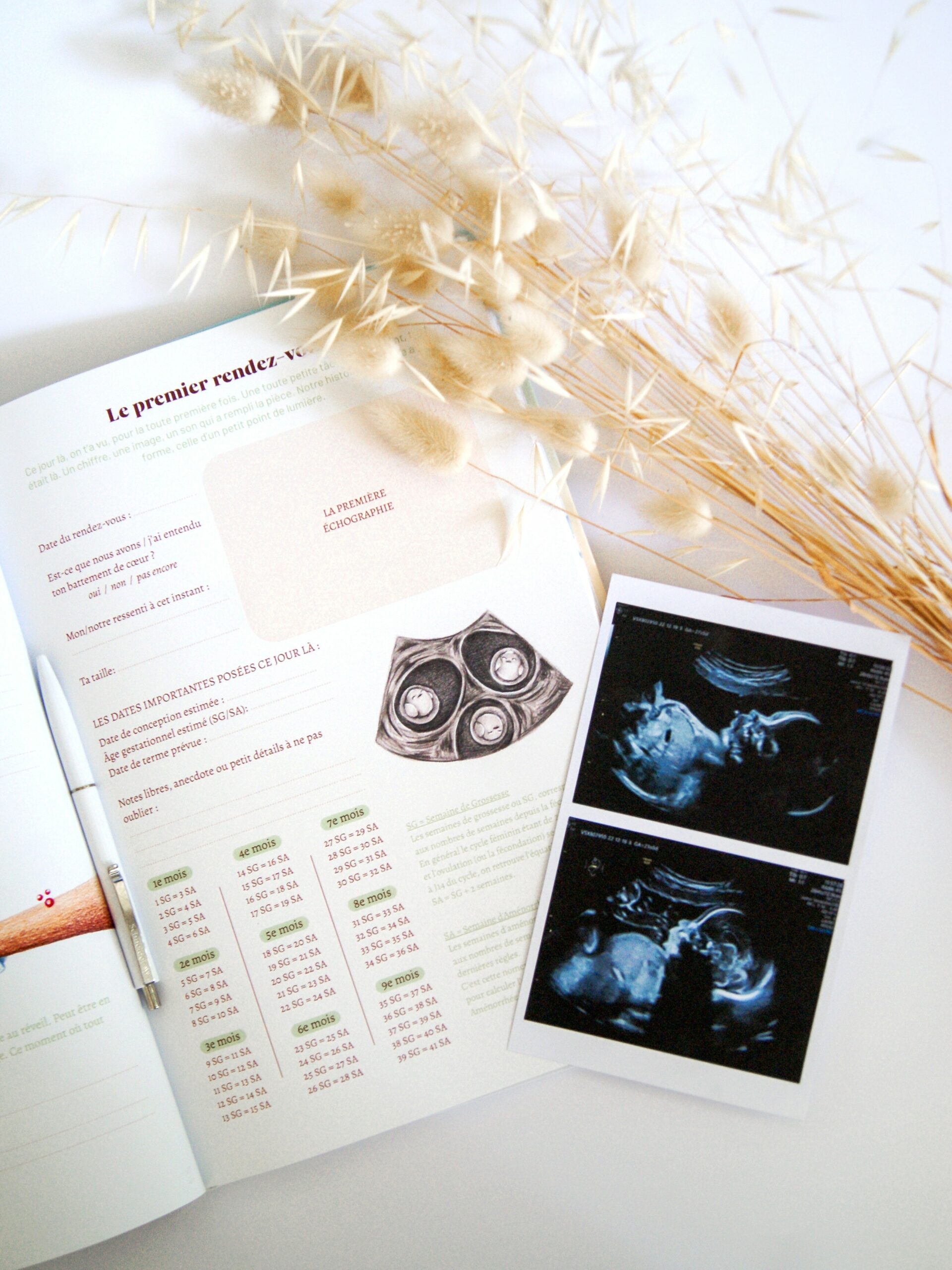 Album de grossesse inclusif – Mon histoire à moi – Image 3